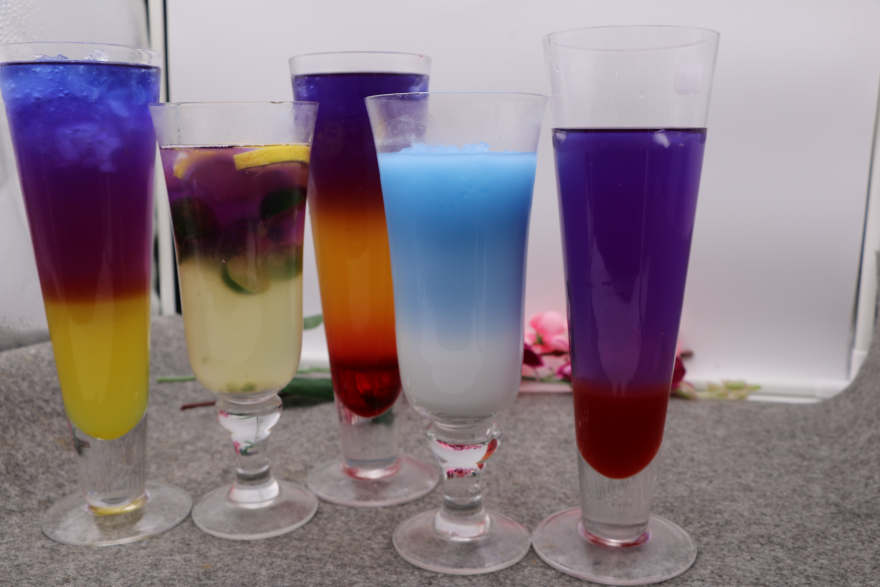 南昌泰国蝶豆花培训